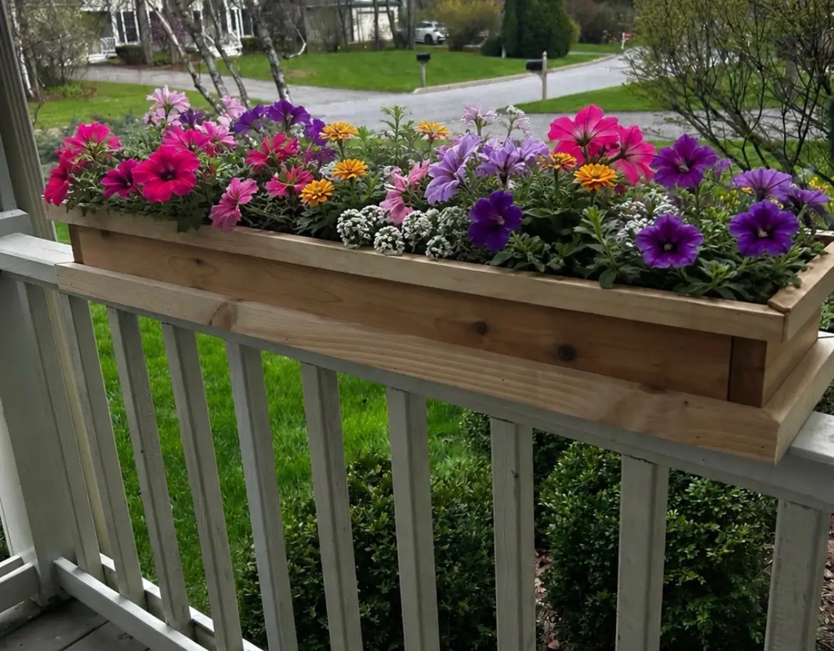 A handmade wooden flower box full of petunias, zinnias and alyssum sitting on a white porch railing