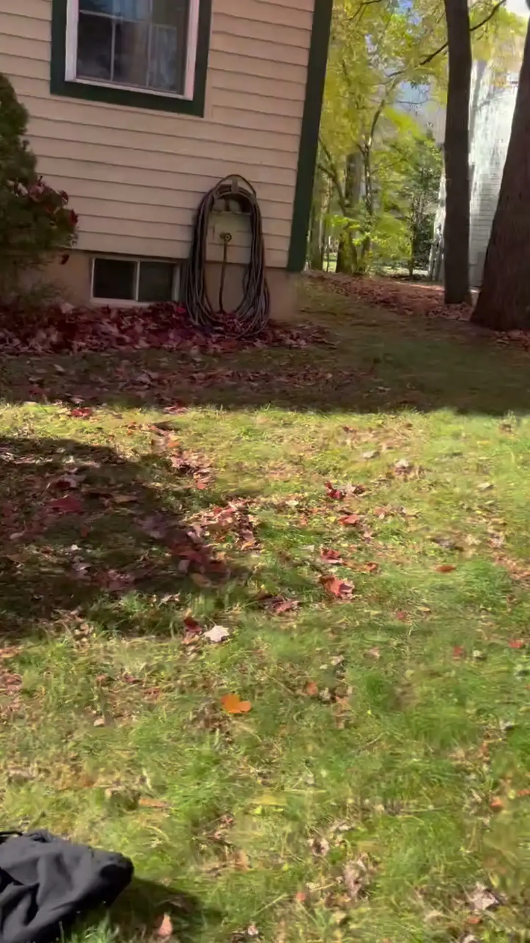 Fall leaf cleanup after