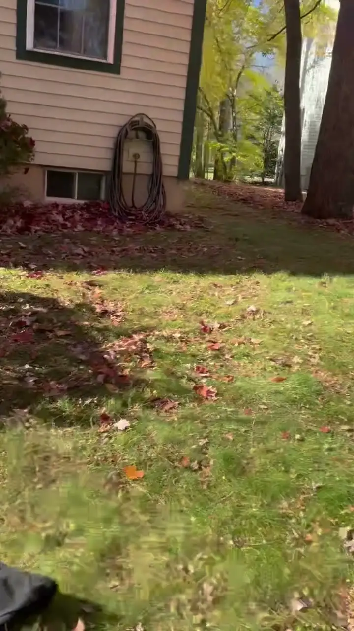 The same backyard after the fall cleanup: leaves cleared and the lawn mowed.