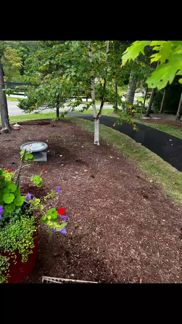 Garden beds around young trees going from bare, patchy soil to fresh dark mulch.