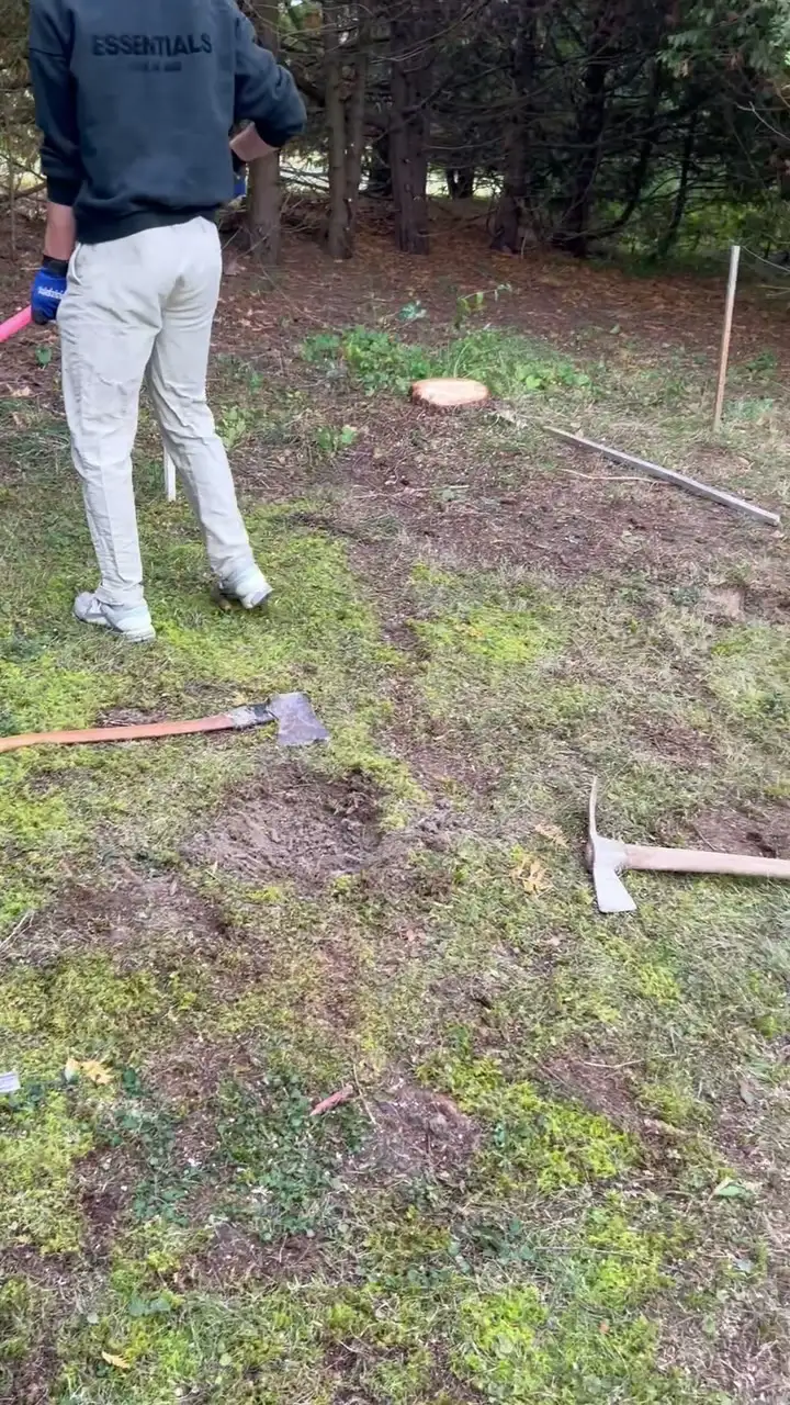 A cleared yard with tools laid out before planting begins.